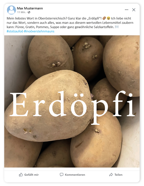 FB_mit_Schlagschatten3.png 
